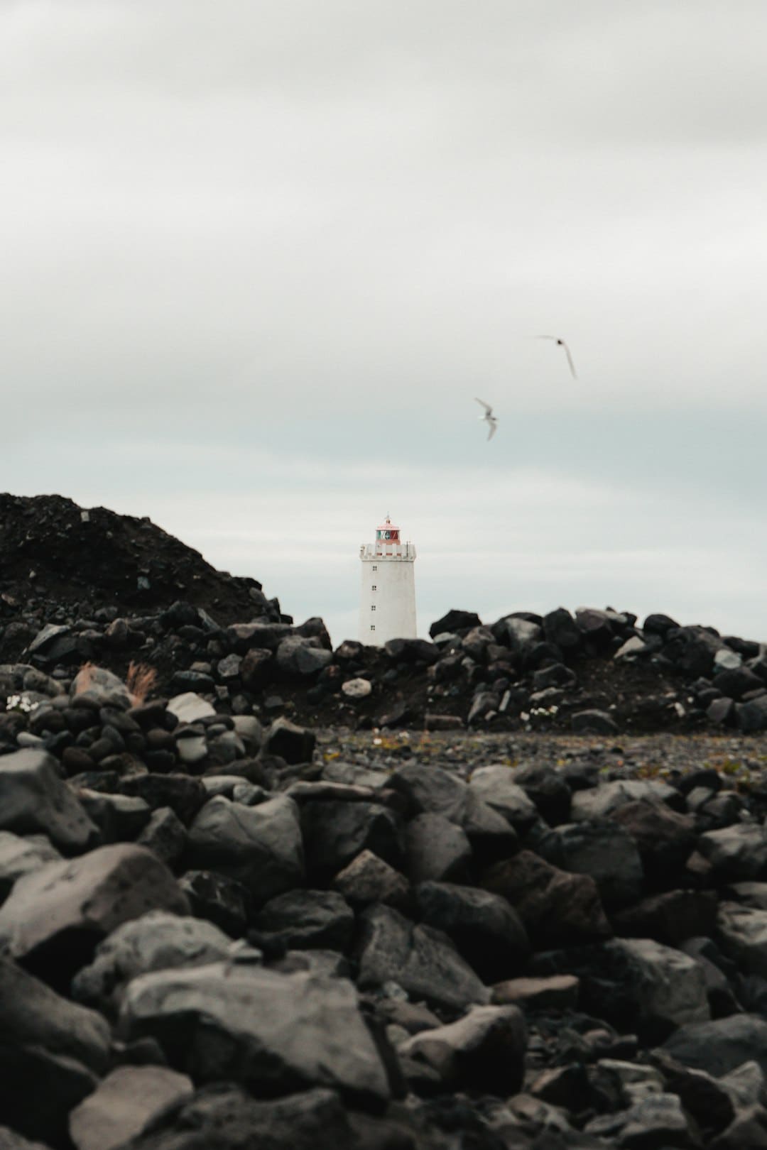 https://p1.img.cctvpic.com/photoworkspace/contentimg/2025/09/06/2025090610053811759.png